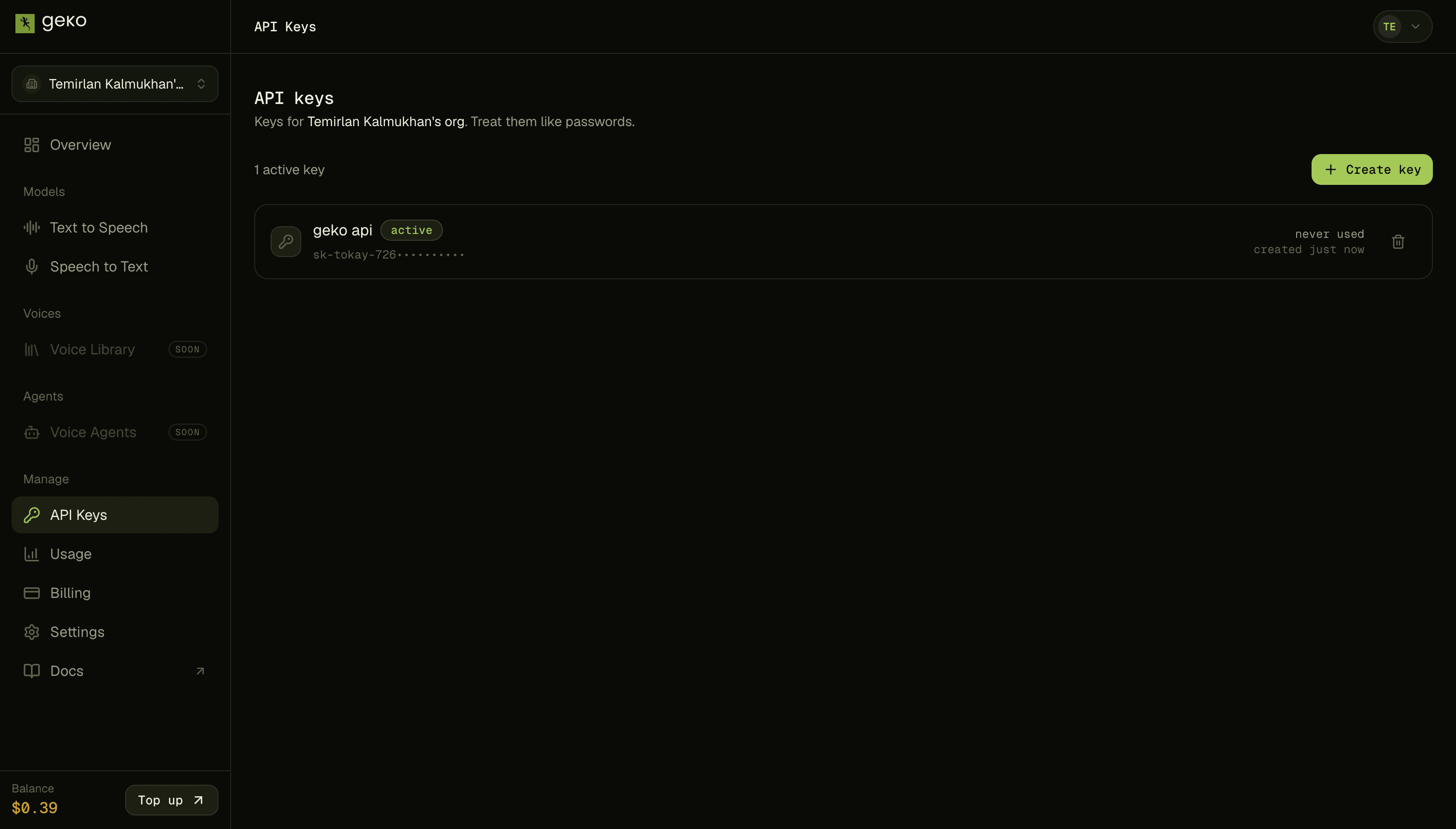 The API keys screen of the Geko console, with the create-key action
